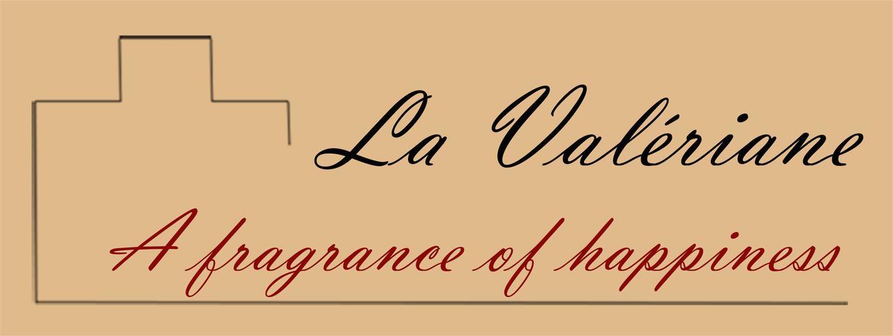 "La Valeriane" Apartment กราส ภายนอก รูปภาพ